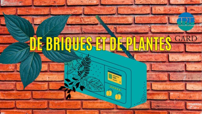 De briques et de plantes